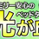 【ファミリー層におすすめ】ベッドタウン「光が丘」